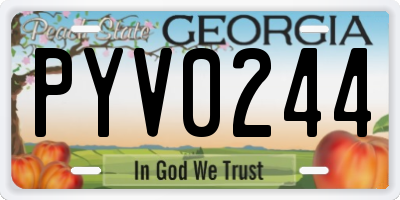 GA license plate PYV0244