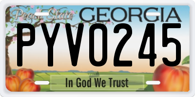 GA license plate PYV0245