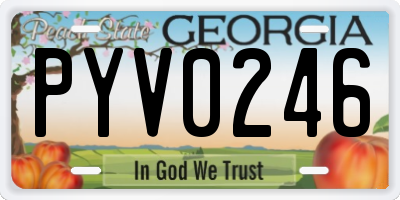GA license plate PYV0246