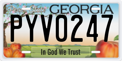 GA license plate PYV0247
