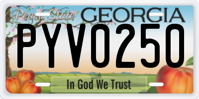 GA license plate PYV0250