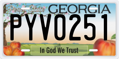 GA license plate PYV0251