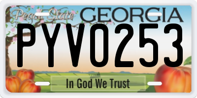 GA license plate PYV0253