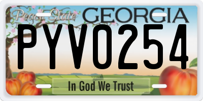 GA license plate PYV0254