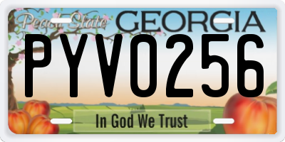 GA license plate PYV0256