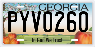 GA license plate PYV0260