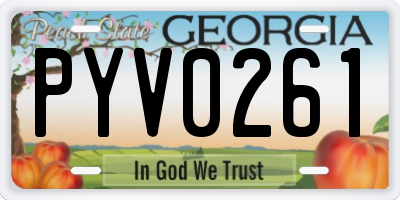 GA license plate PYV0261