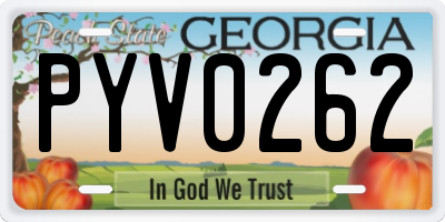 GA license plate PYV0262