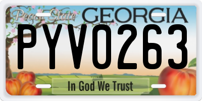 GA license plate PYV0263