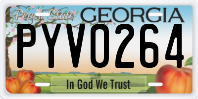 GA license plate PYV0264