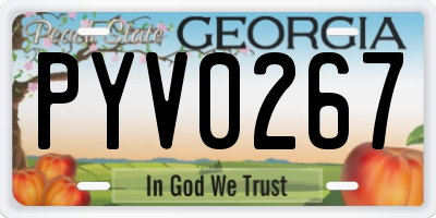 GA license plate PYV0267