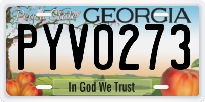 GA license plate PYV0273