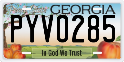 GA license plate PYV0285