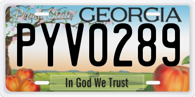 GA license plate PYV0289