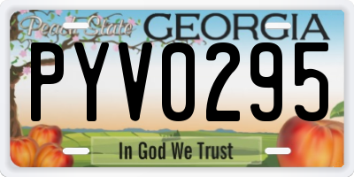 GA license plate PYV0295