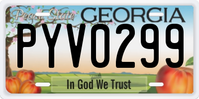GA license plate PYV0299