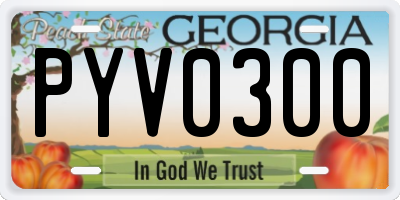 GA license plate PYV0300
