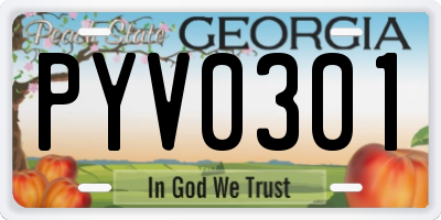 GA license plate PYV0301