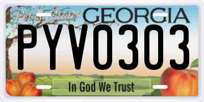 GA license plate PYV0303