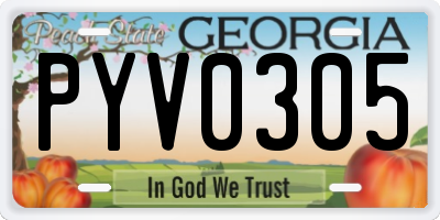 GA license plate PYV0305