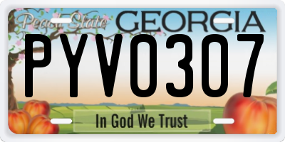 GA license plate PYV0307
