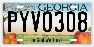 GA license plate PYV0308