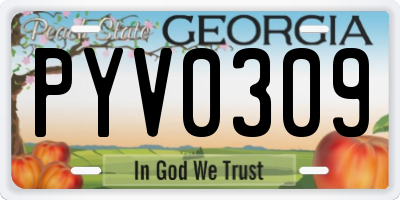 GA license plate PYV0309