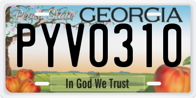 GA license plate PYV0310