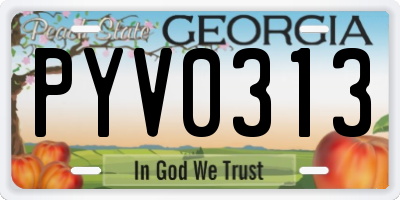 GA license plate PYV0313