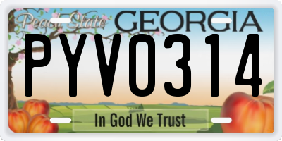 GA license plate PYV0314