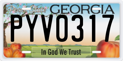 GA license plate PYV0317