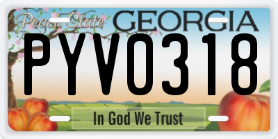 GA license plate PYV0318