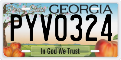 GA license plate PYV0324