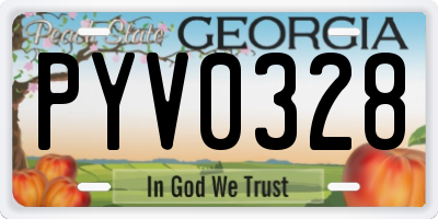 GA license plate PYV0328
