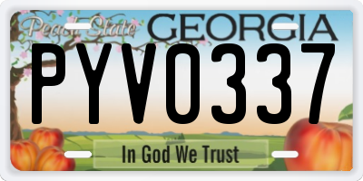 GA license plate PYV0337