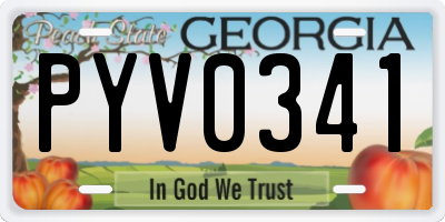 GA license plate PYV0341