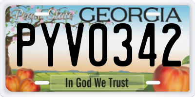 GA license plate PYV0342