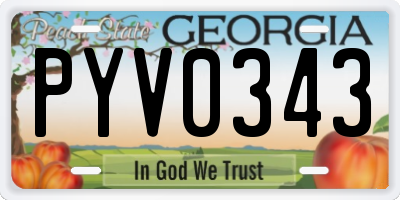 GA license plate PYV0343
