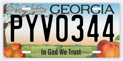 GA license plate PYV0344