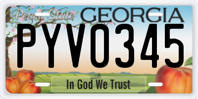GA license plate PYV0345