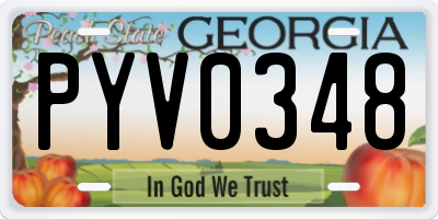 GA license plate PYV0348