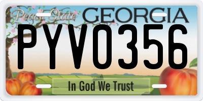 GA license plate PYV0356