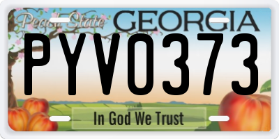GA license plate PYV0373