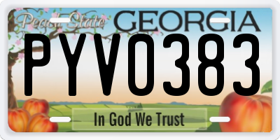 GA license plate PYV0383