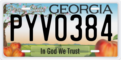 GA license plate PYV0384