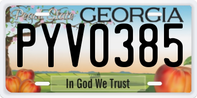 GA license plate PYV0385
