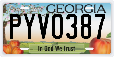 GA license plate PYV0387