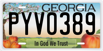 GA license plate PYV0389