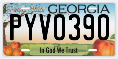 GA license plate PYV0390