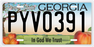 GA license plate PYV0391